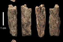 L’ado métisse de 90 000 ans et l’étrange aurore violette