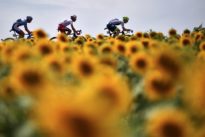Tour de France en septembre : «Tout ça n’a plus beaucoup de sens»